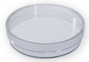 Plastik Petri Kabı 60 mm Steril